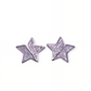 Beautiful Star Stones Studded Earrings